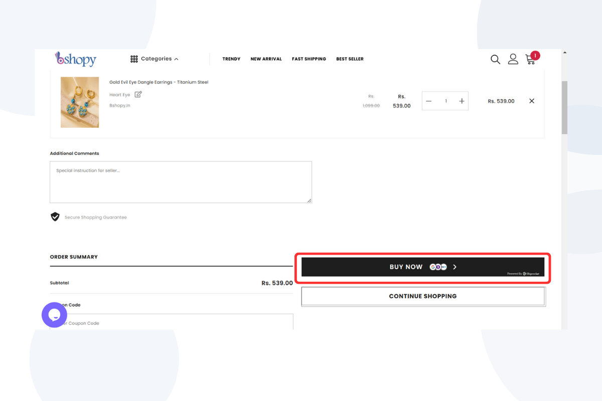Payment Options and Checkout Process - Bshopy